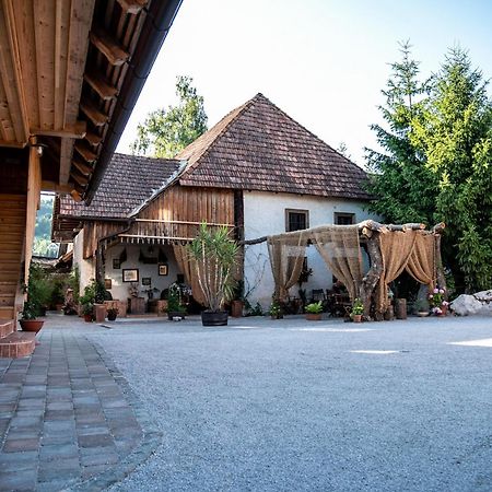 Resort Hisa Ida - Apartments With Hot Tub And Sauna Ivancna Gorica Exterior photo